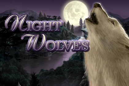 08321 night wolves